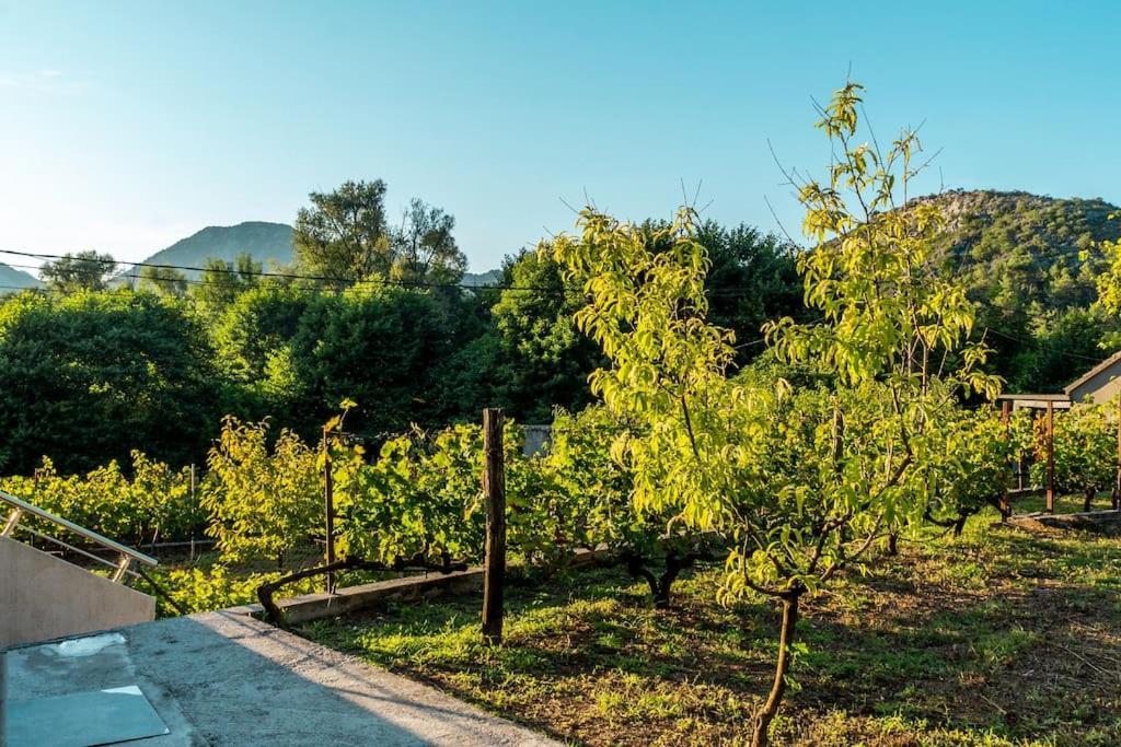 Pavle'S Oasis Villa Virpazar Kültér fotó